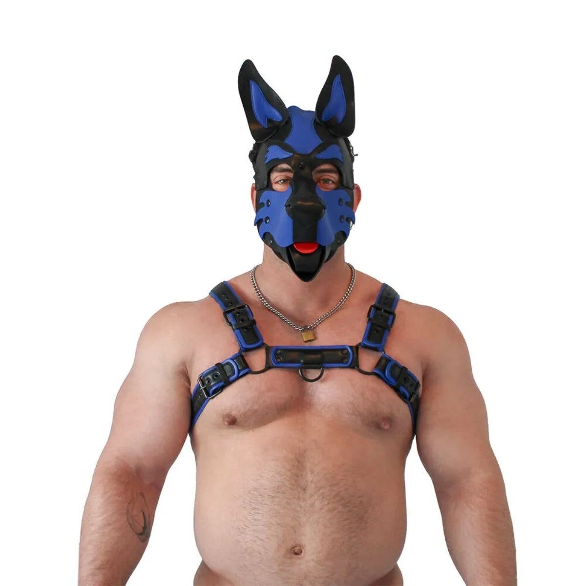 BRUTUS Vegan Pup Hood Black