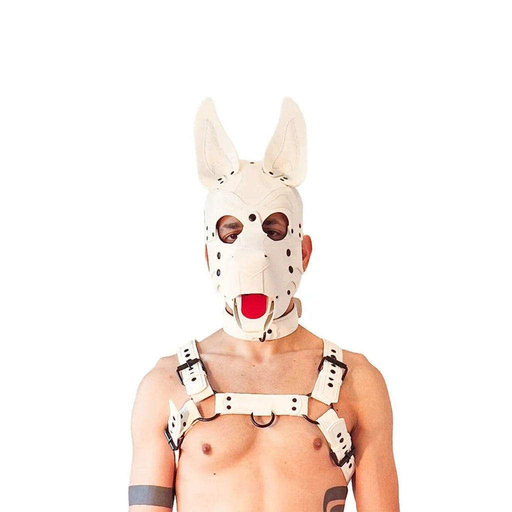 BRUTUS Vegan Pup Hood