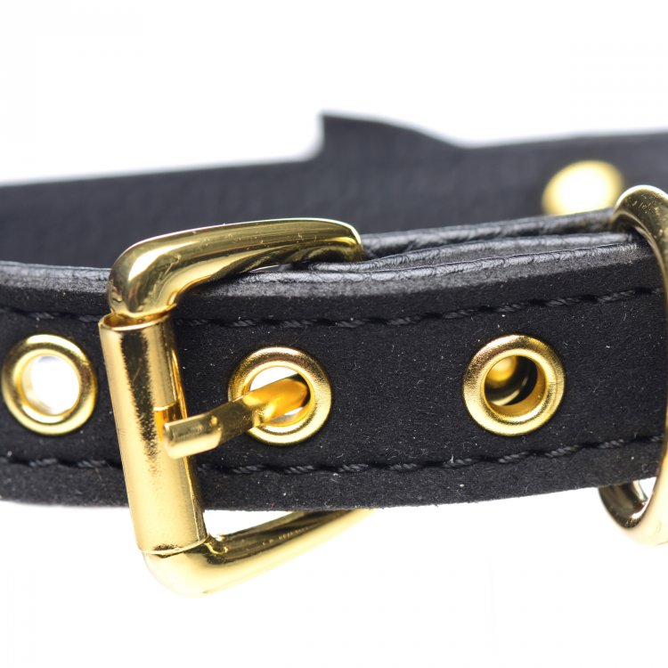 Master Series Golden Kitty Cat Bell Collar Black/Gold