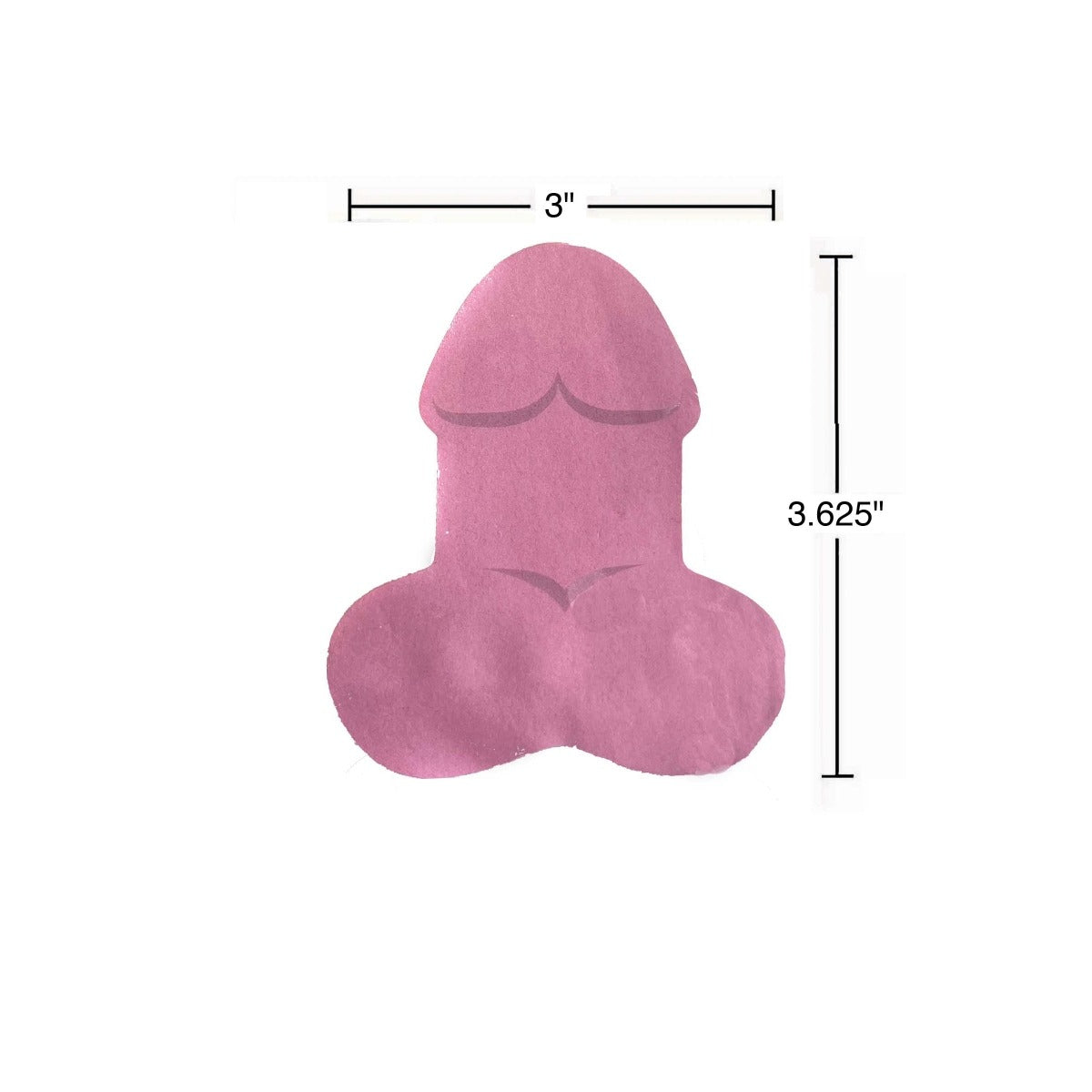 Super Fun Penis Sticky Notes
