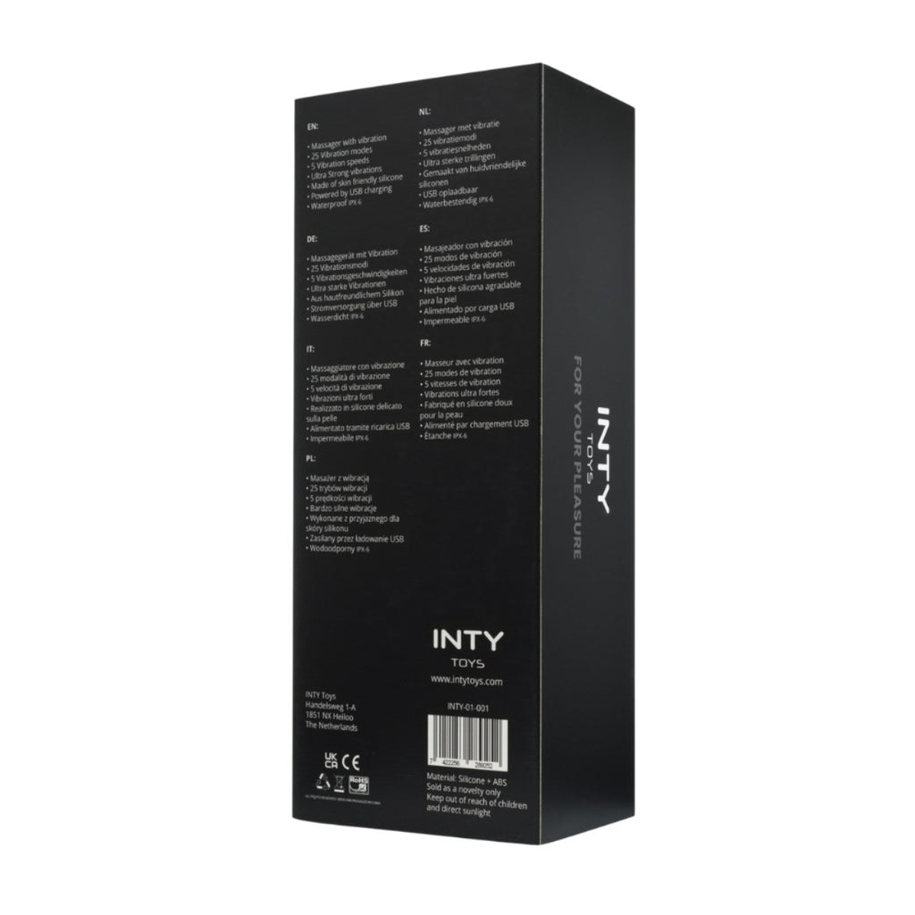 INTY Toys Torch Wand Vibrator
