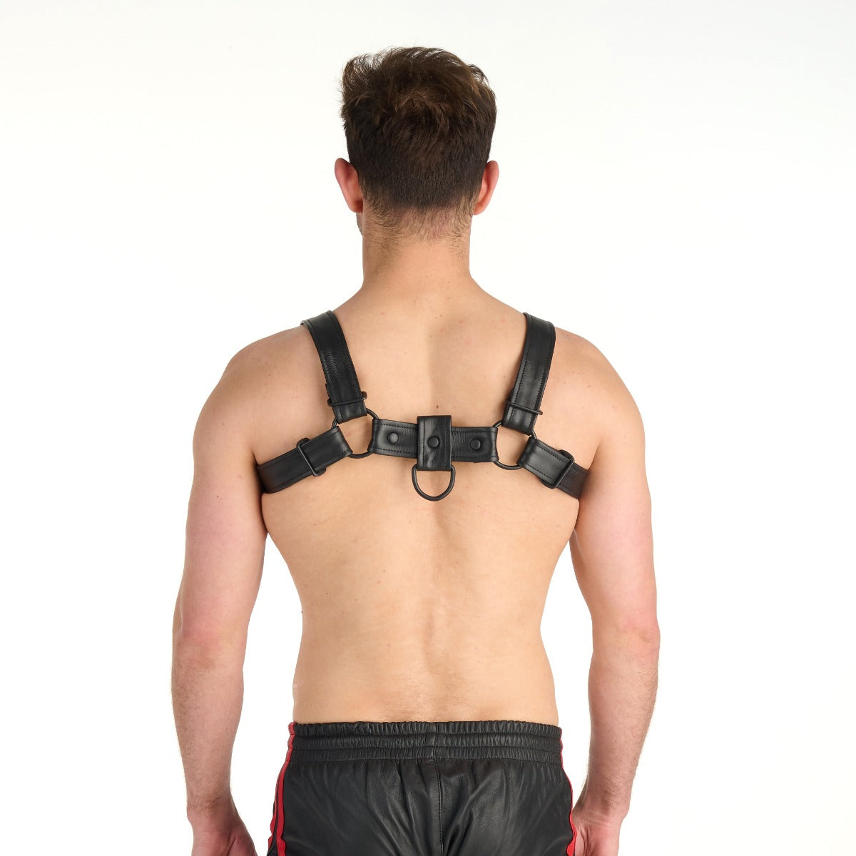 Prowler RED Bull Harness Black with Metal Fittings S
