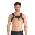 Prowler RED Bull Harness Black with Metal Fittings S