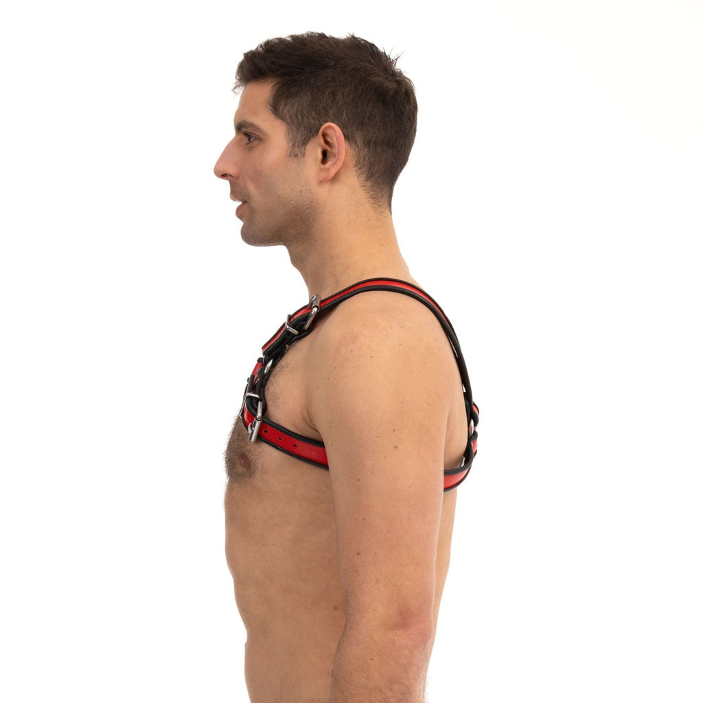 Prowler RED Bull Harness
