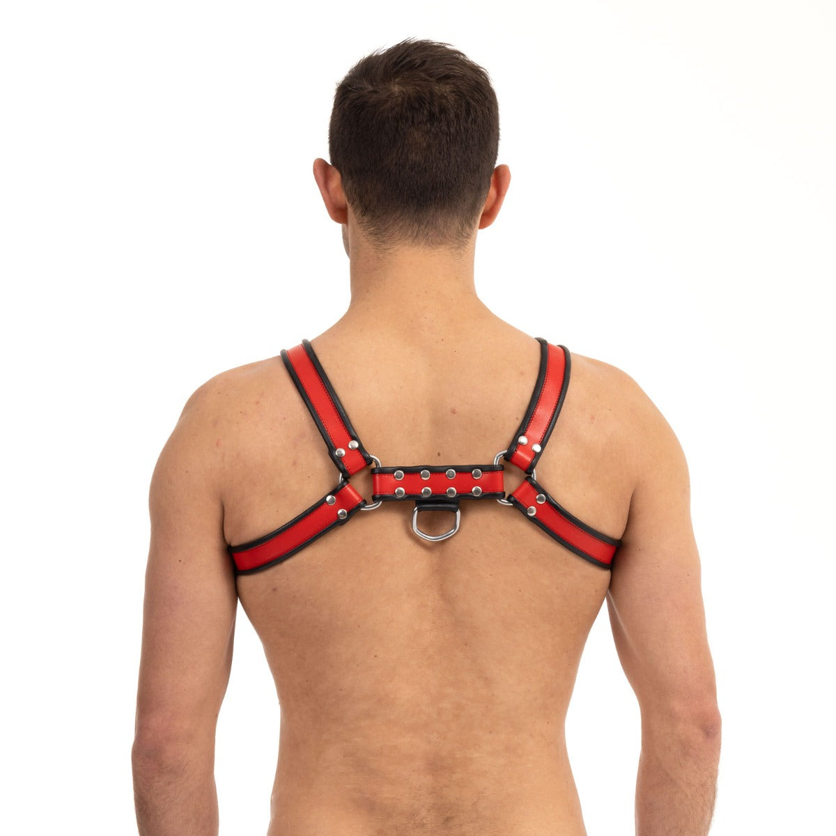 Prowler RED Bull Harness