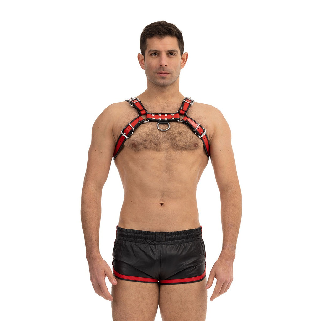 Prowler RED Bull Harness