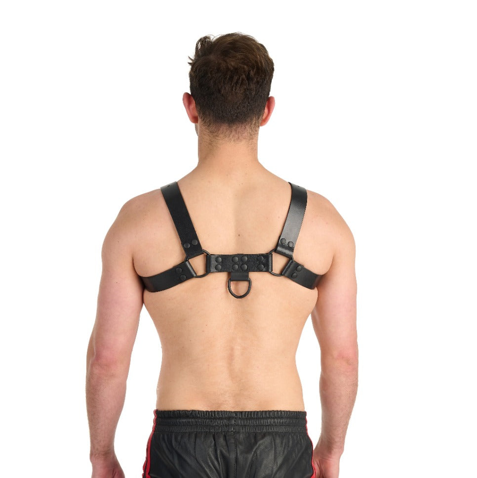 Prowler RED Noir Harness