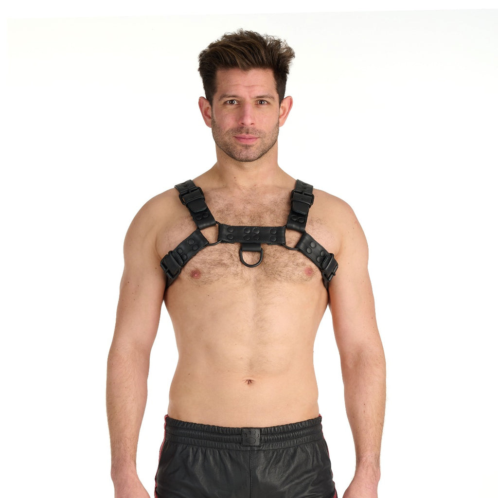 Prowler RED Noir Harness Premium