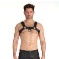 Prowler RED Noir Harness Premium