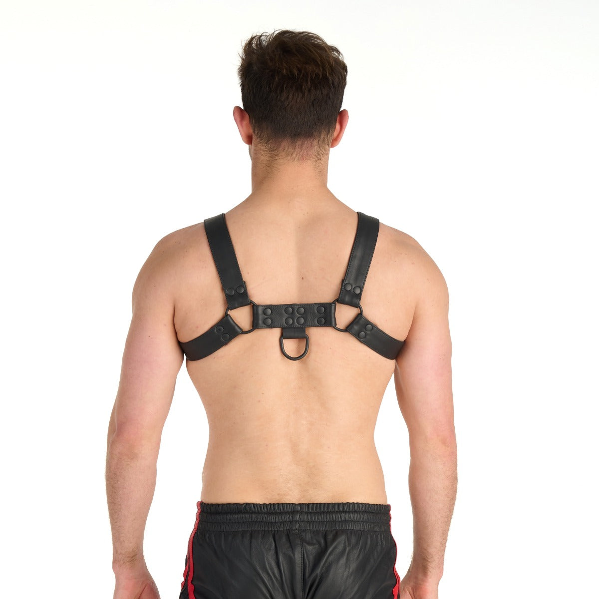 Prowler RED Noir Harness Premium