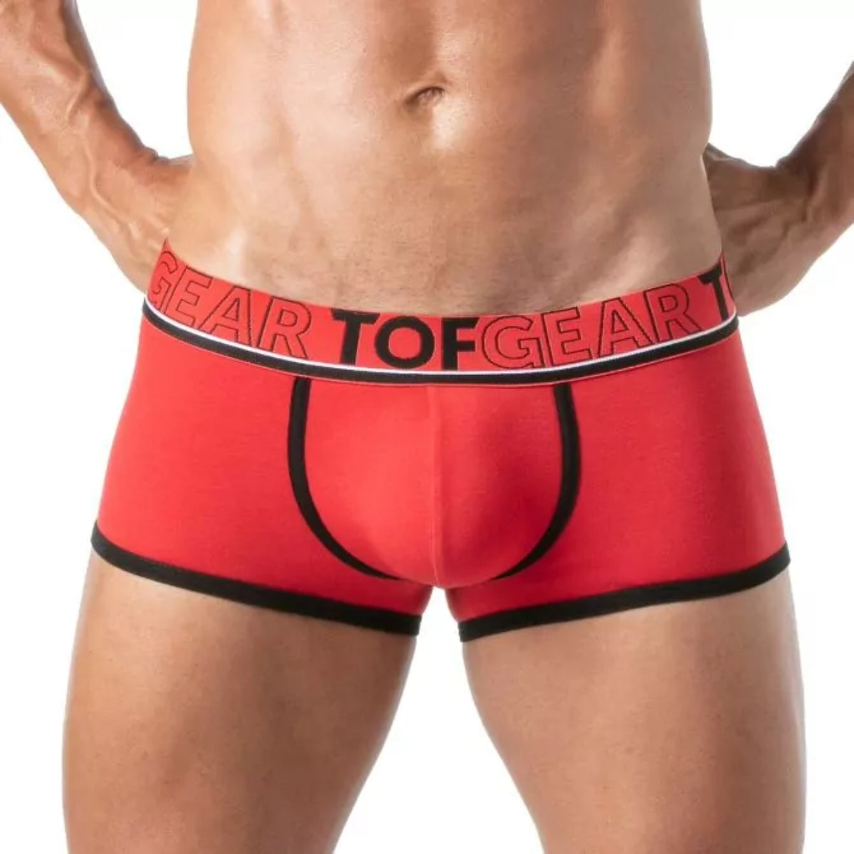 Champion Boxers