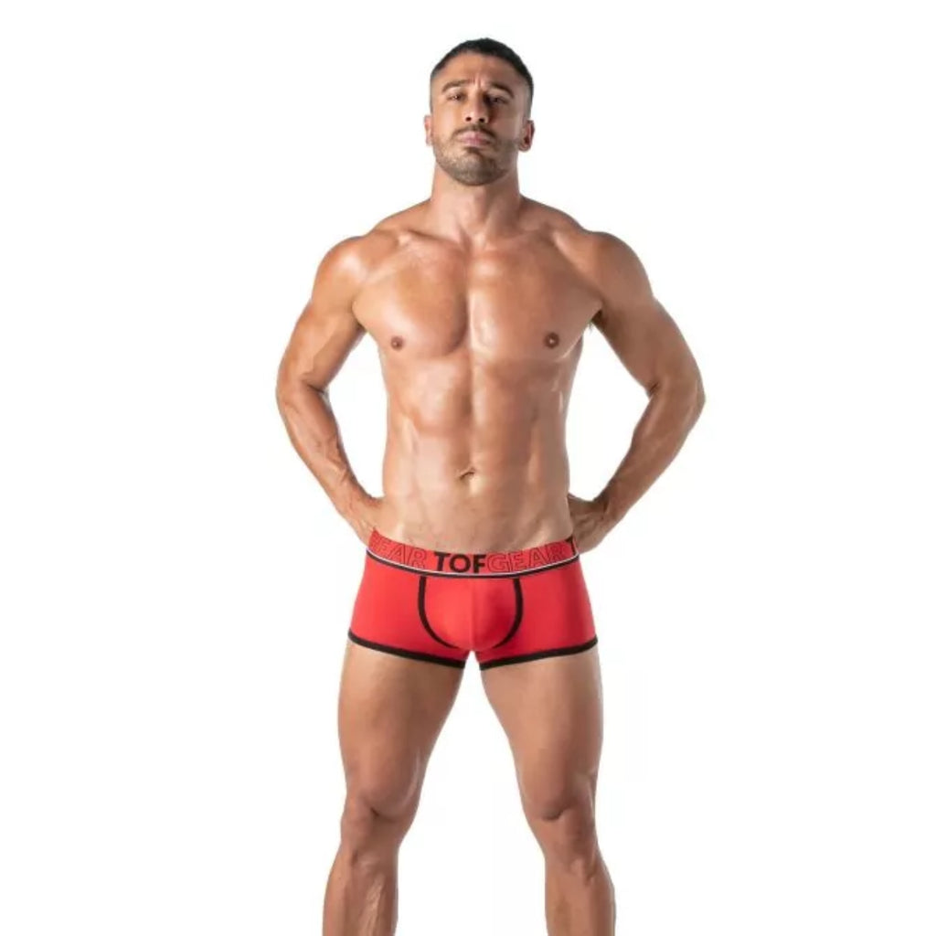 Champion Boxers