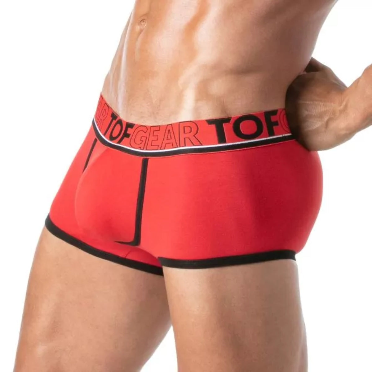 Champion Boxers