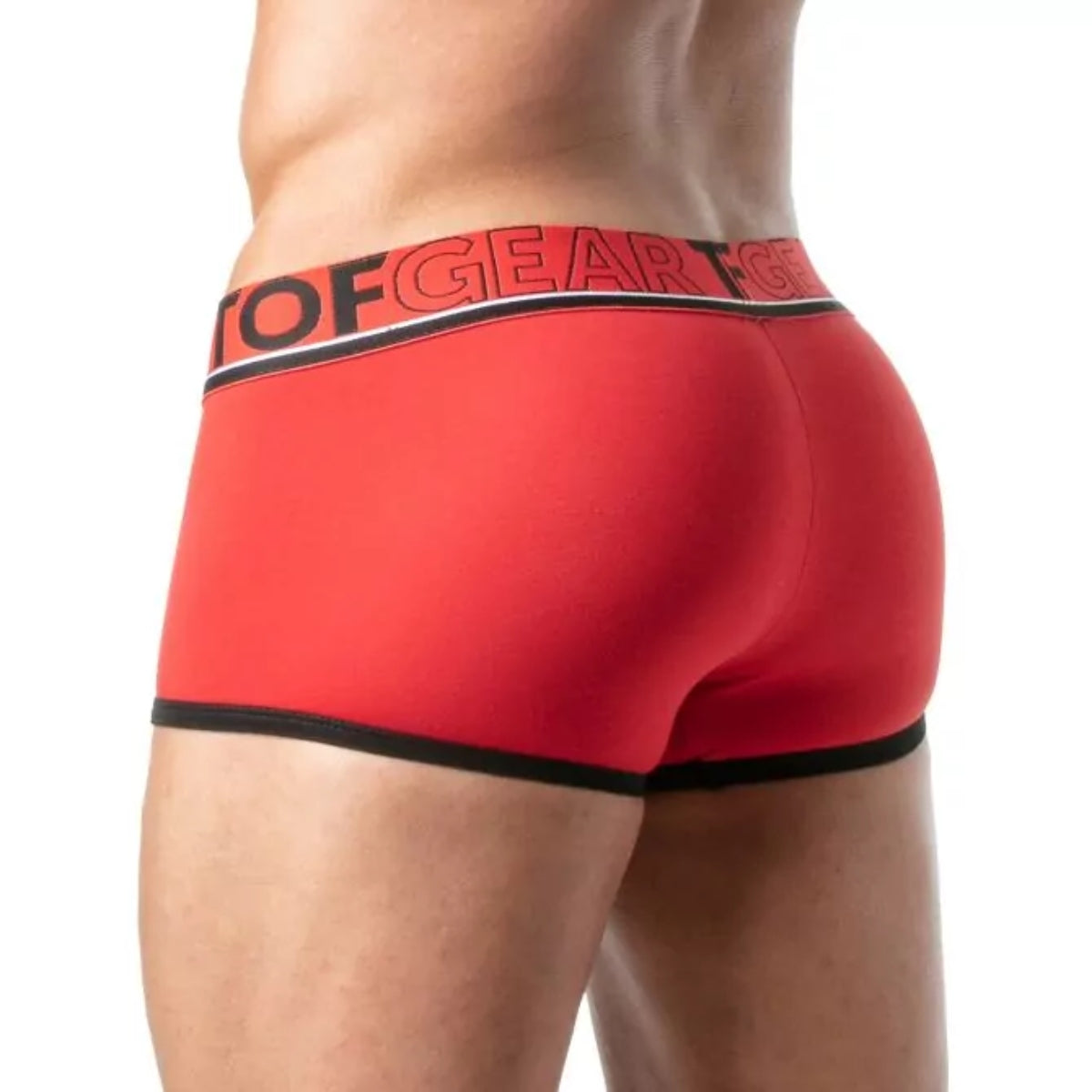 Champion Boxers