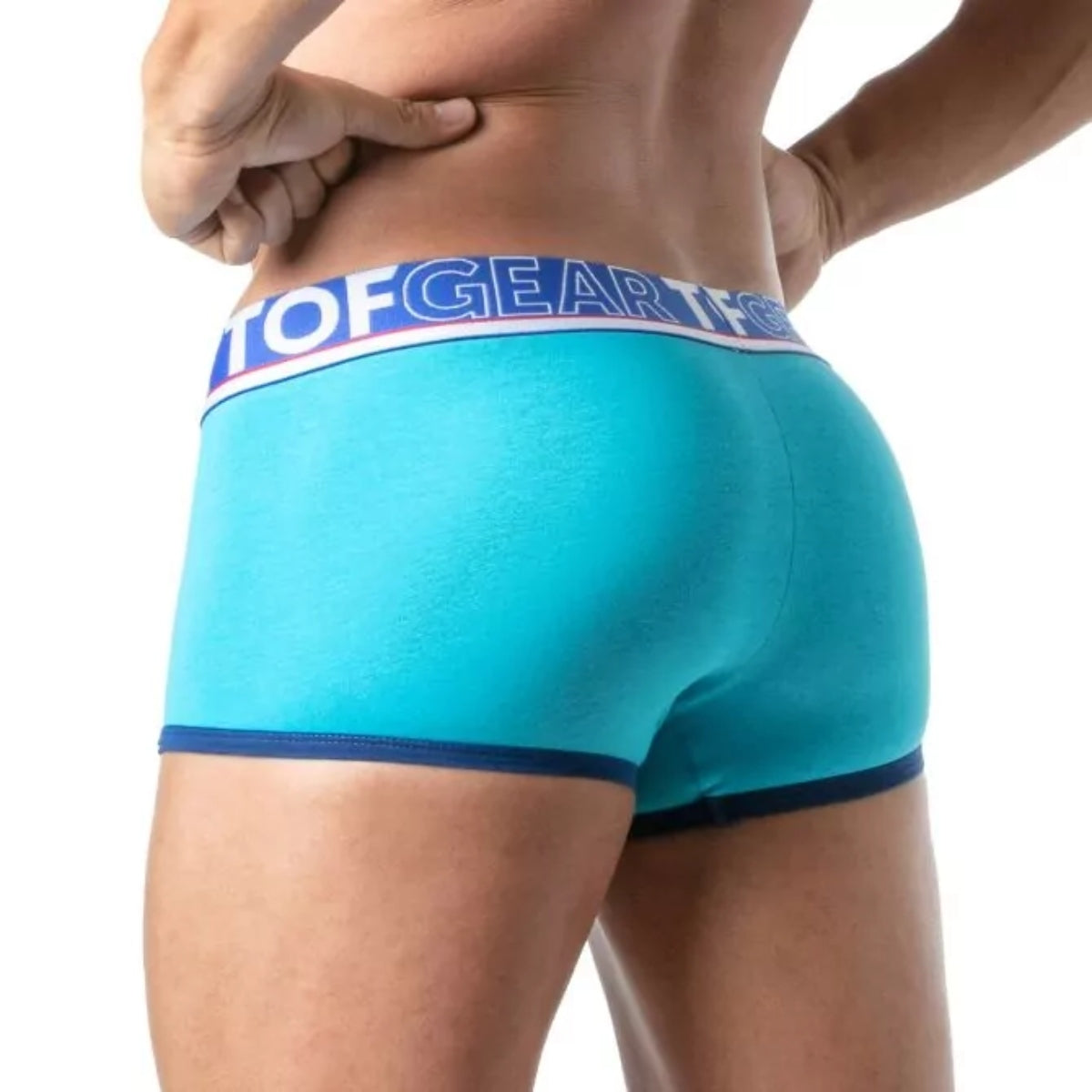 Champion Boxers