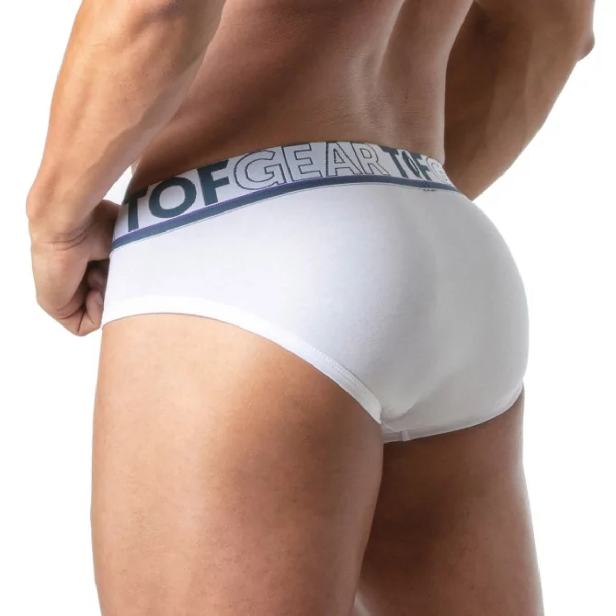 Champion Brief