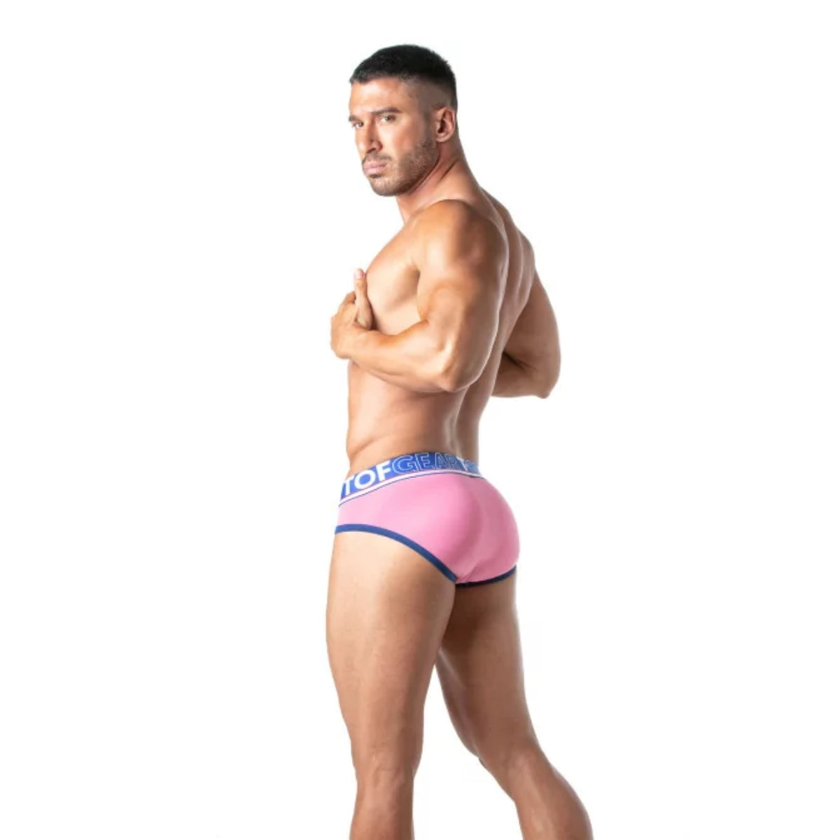 Champion Brief